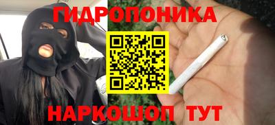 стаф Гусев