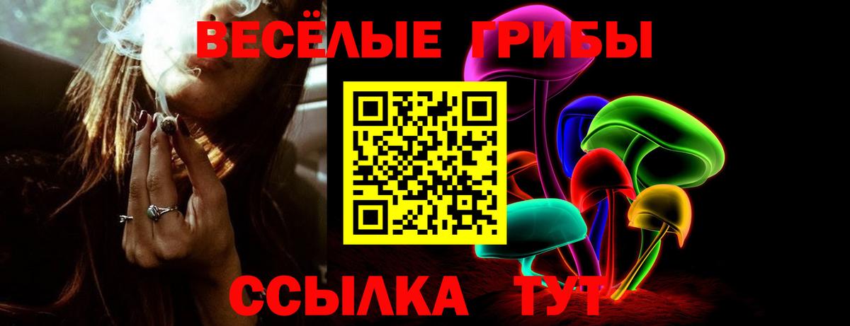 Галлюциногенные грибы Psilocybe  Галлюциногенные грибы Psilocybine cubensis  дарнет шоп  Вход с VPN  Новоалександровск 