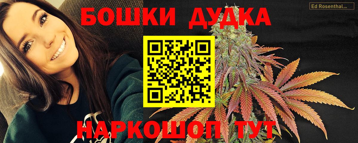 МАРИХУАНА сатива Новоалександровск